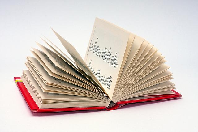 9115_livre ouvert_Horia Varlan -flickr by 20.jpg